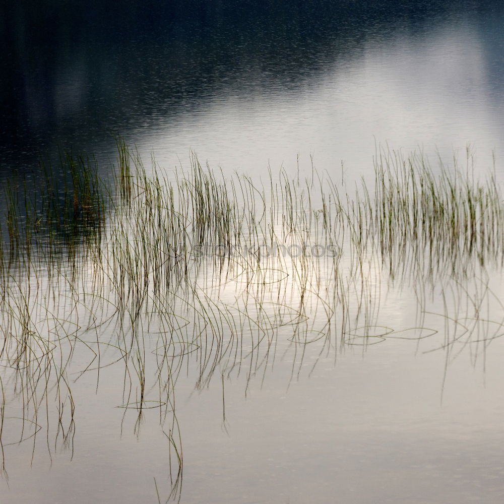 Similar – Image, Stock Photo Open, thawed ice surface on a lake. Climate, climate change