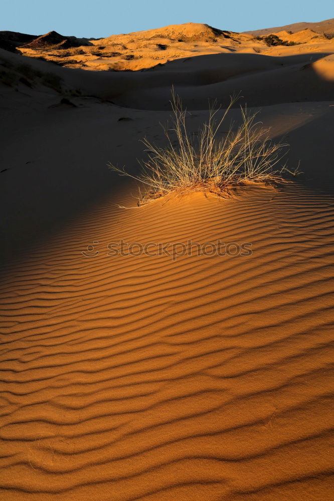 Similar – Image, Stock Photo Sahara in Morocco