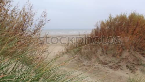 Similar – Am Meer Strand Wellen