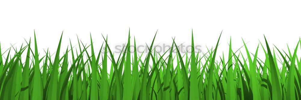 Similar – Image, Stock Photo The leeks are also green at Easter.