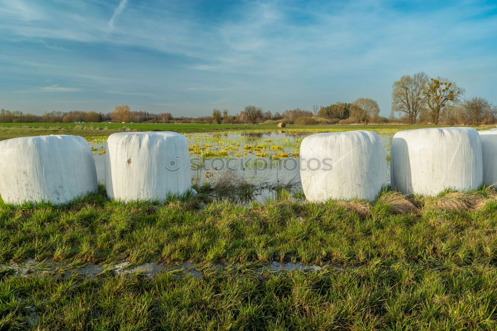 Similar – Image, Stock Photo Airbrush ?  I Footpath