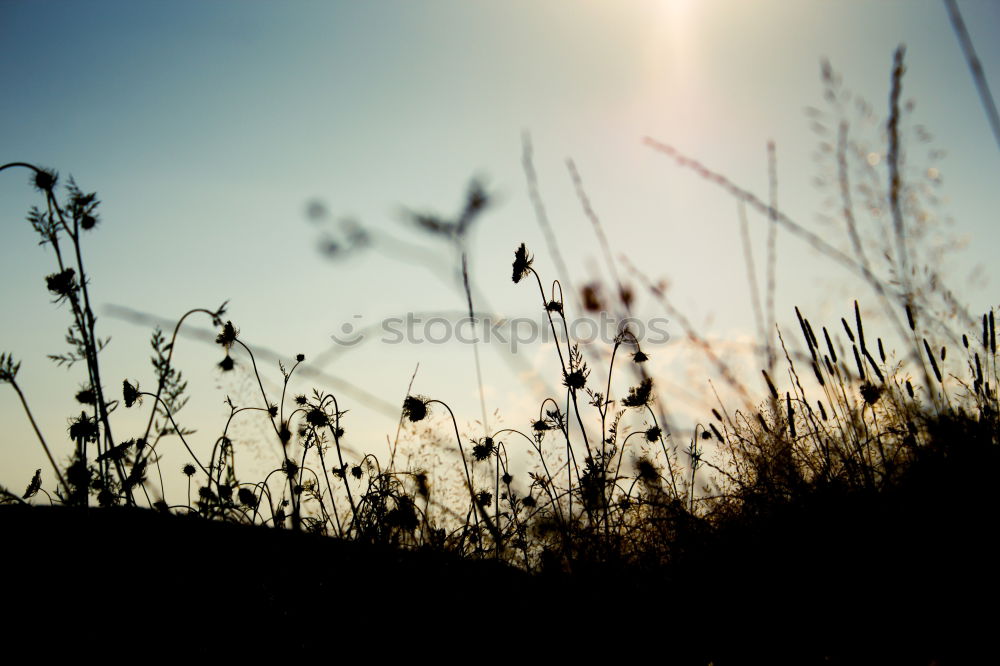 Image, Stock Photo piece of fence