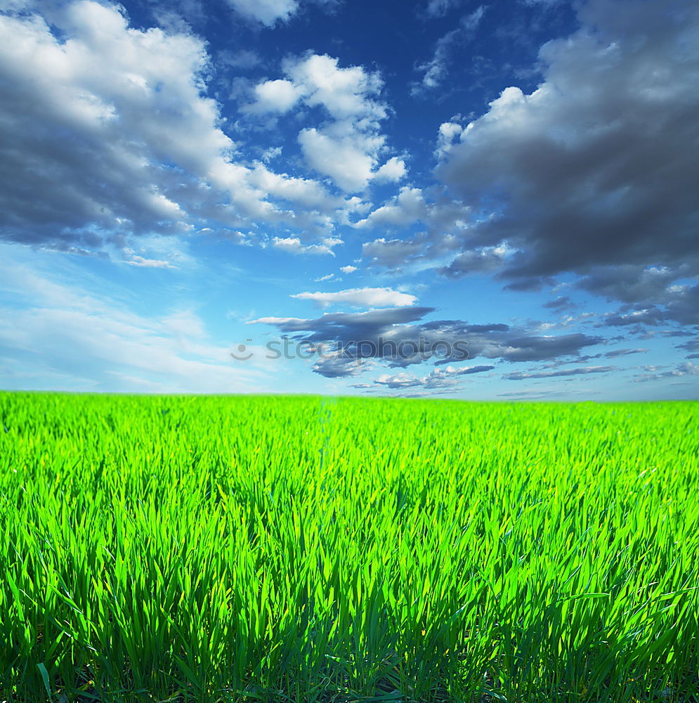 Similar – Cloud over field Nature