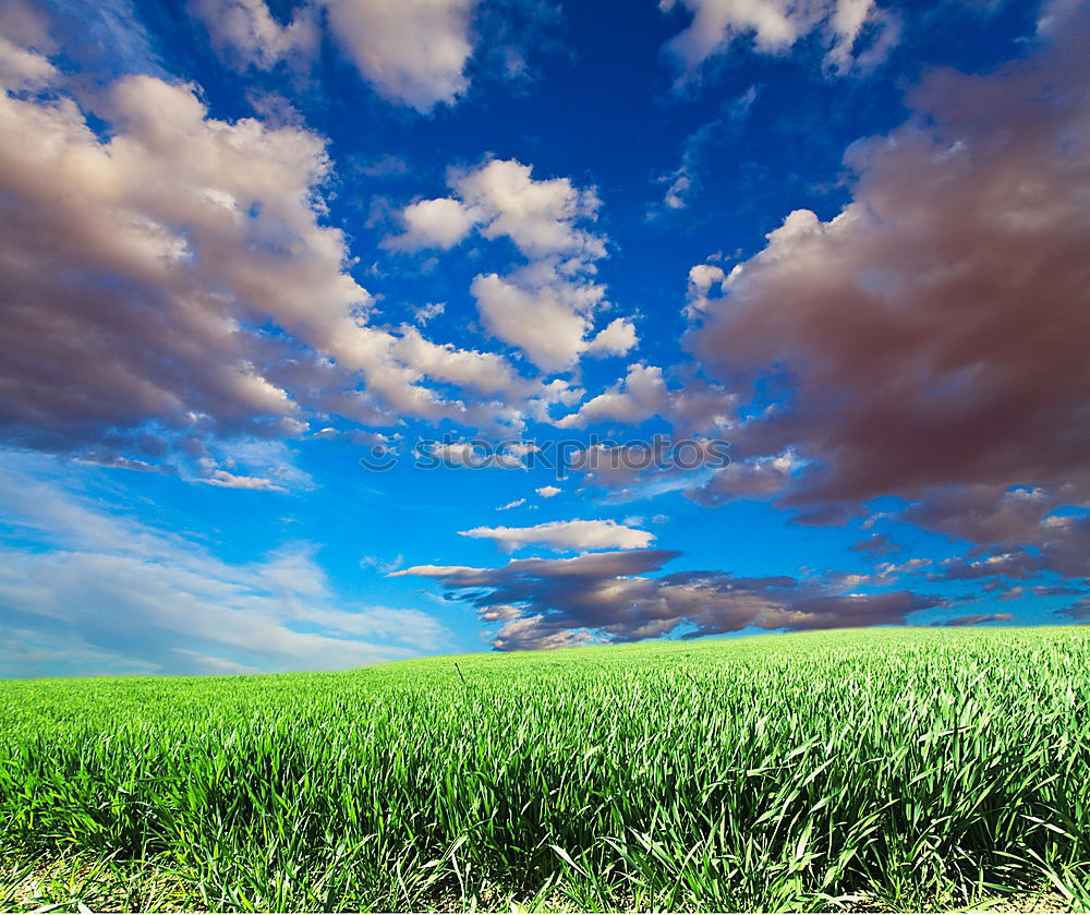 Similar – Cloud over field Nature