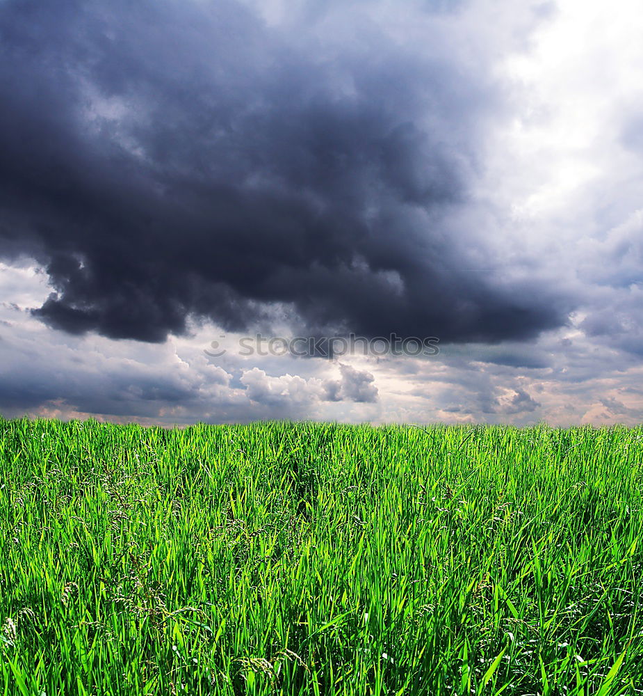 Similar – Image, Stock Photo Inningen near Augsburg II