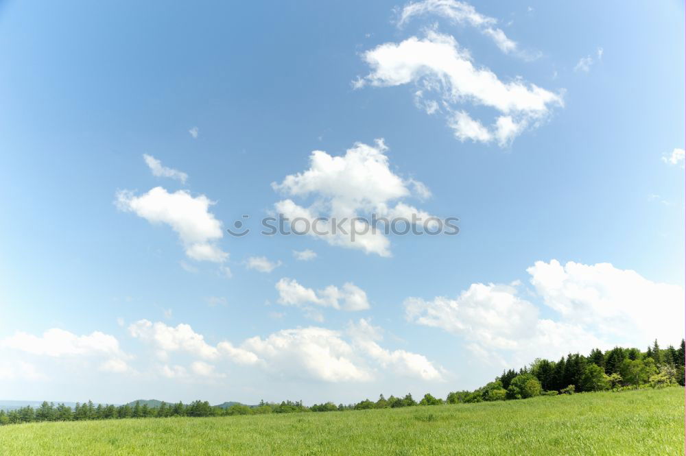 Similar – Image, Stock Photo alpine view Environment