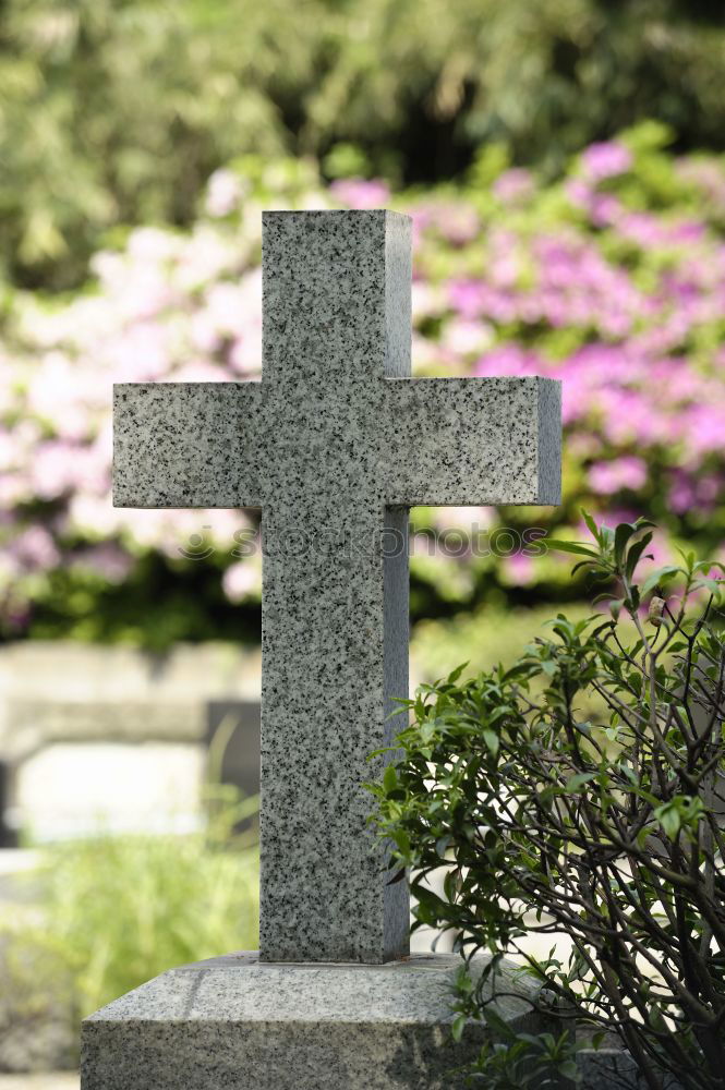 Similar – An old quiet graveyard in Macao, China