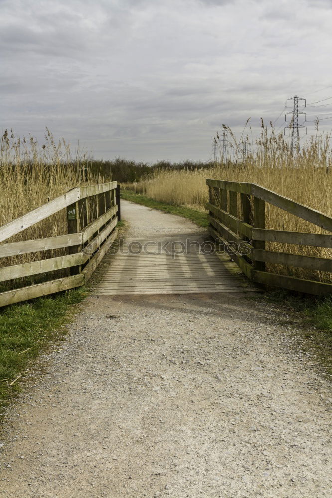 Similar – Image, Stock Photo closed barrier on a street in Edinburgh