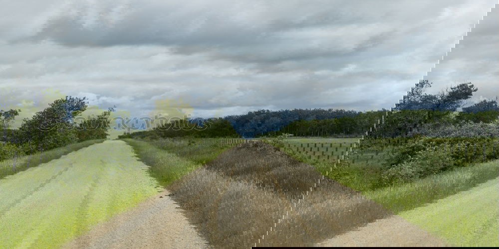 Similar – Foto Bild Weg Ferne Meer Natur