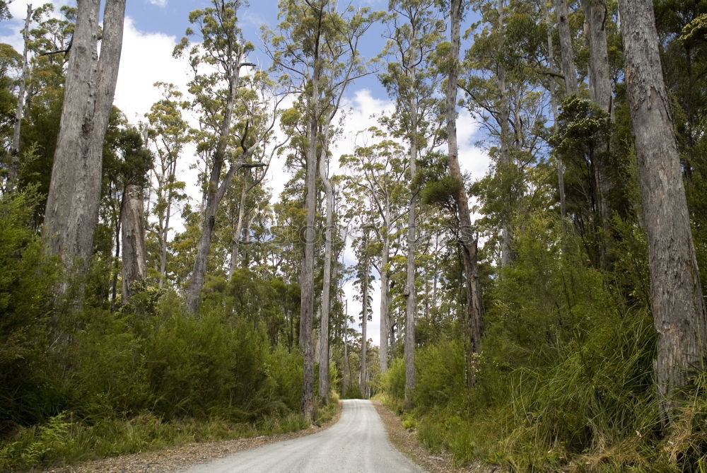 Similar – outback Far-off places