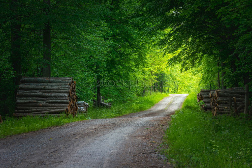 Similar – Image, Stock Photo Lifelines #29 Agriculture