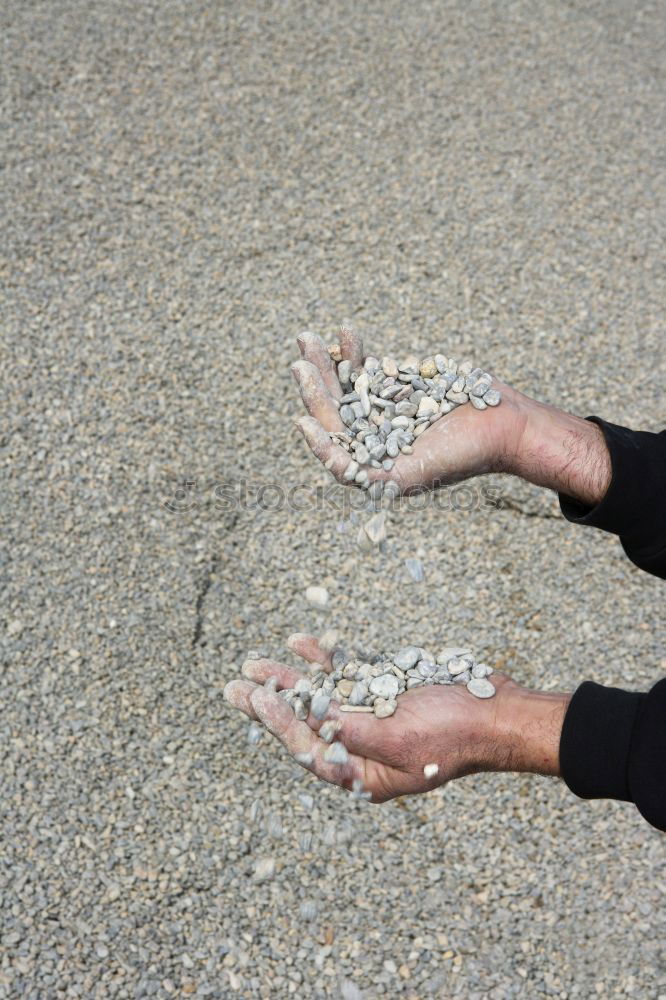 Similar – Image, Stock Photo favourite mussel Joy