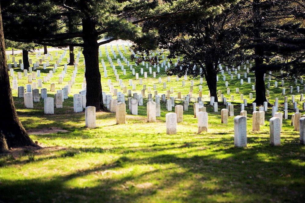 Similar – war graves France