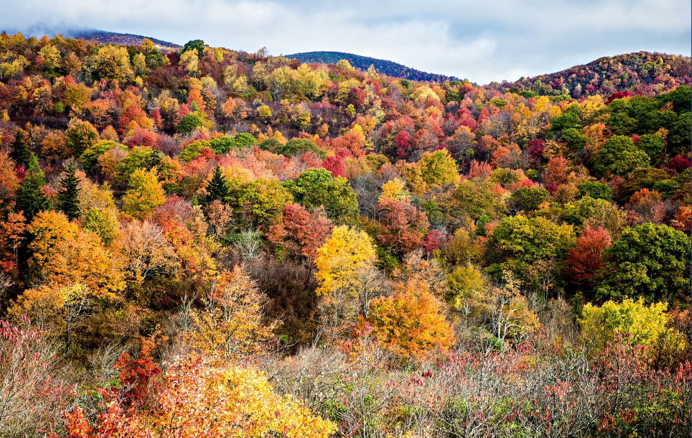 Similar – New Hampshire Wellness