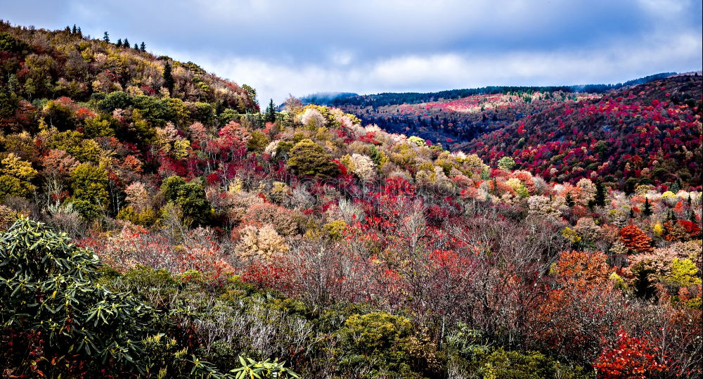 Similar – New Hampshire Wellness