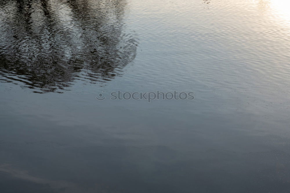 Image, Stock Photo rail shadow Animal Water