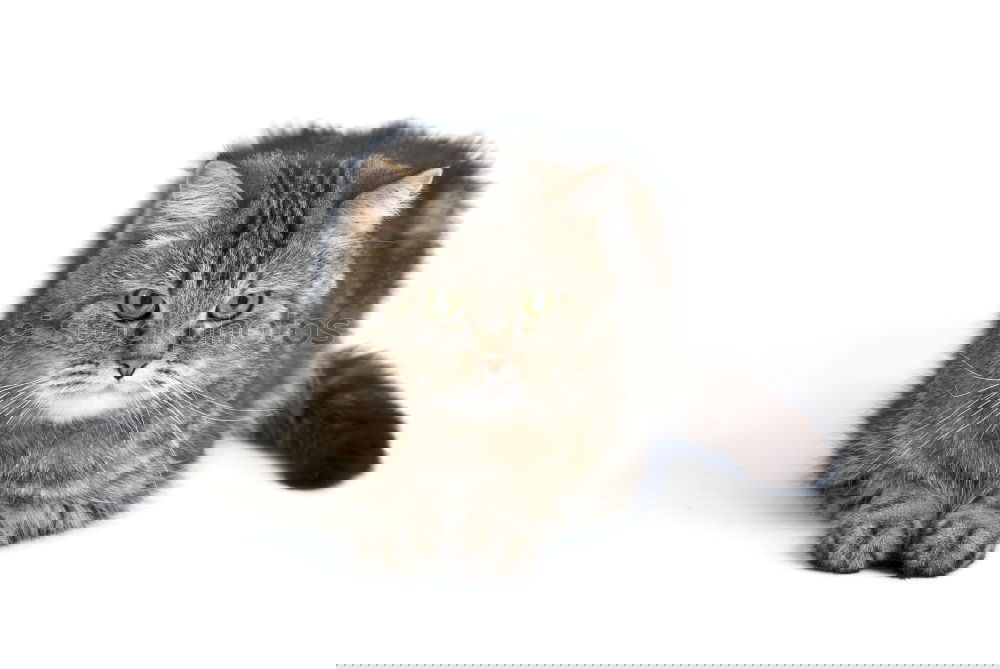 Similar – Image, Stock Photo Don’t blink