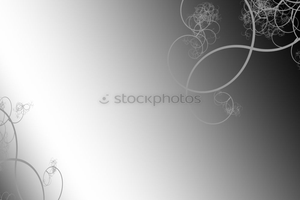 Similar – Image, Stock Photo Bouquet in the rain