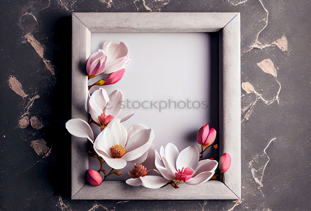 Similar – Blue bowl with pink flowers and water