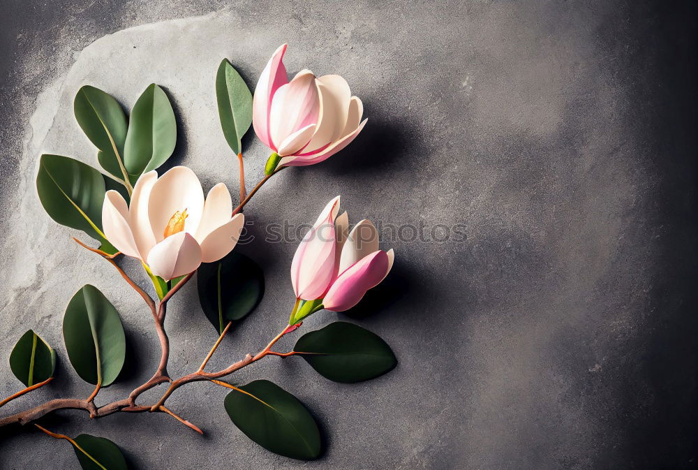 Similar – Flowers in vase on coffee table