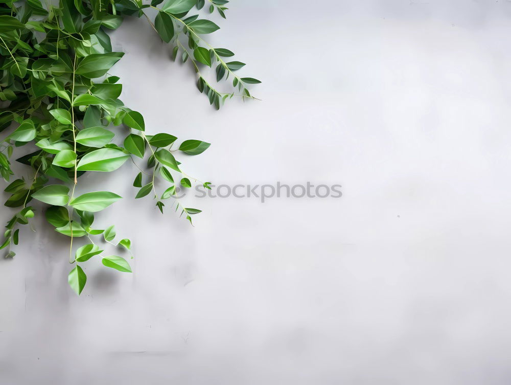 Similar – Image, Stock Photo Nature background with green leaves