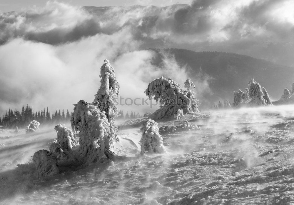 Similar – Image, Stock Photo Winter landscape on the Brocken in the Harz Mountains