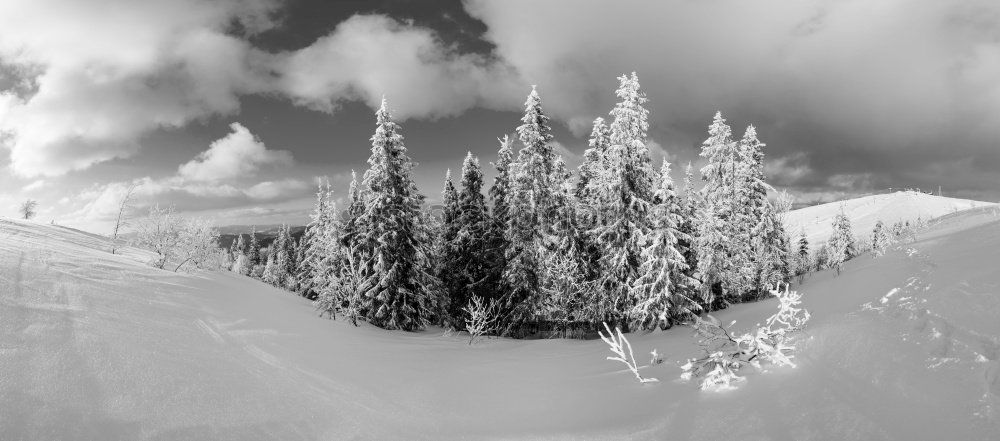 Image, Stock Photo Winter landscape on the Brocken in the Harz Mountains