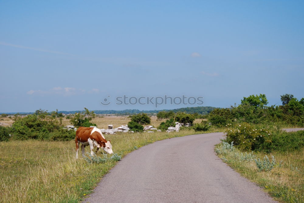 Image, Stock Photo Hiking at Thalawila, Kalpitiya, Sri Lanka