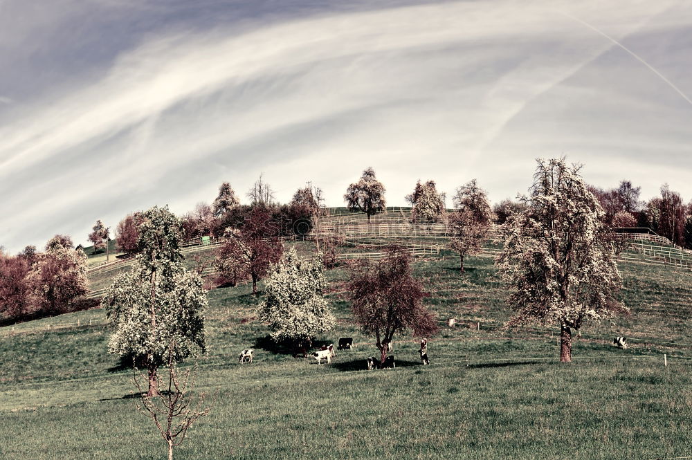 Image, Stock Photo cheerful to cloudy