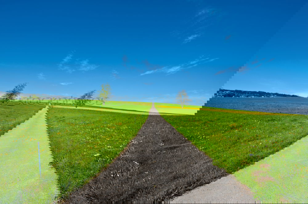 Similar – Image, Stock Photo dirty road in the field in the spring