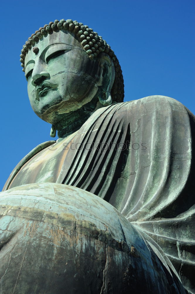 Similar – Image, Stock Photo Hello friend! Tokyo Japan
