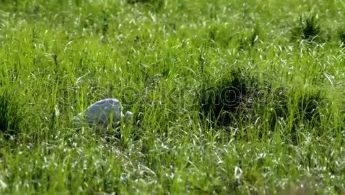 Similar – Image, Stock Photo Where was the pond???