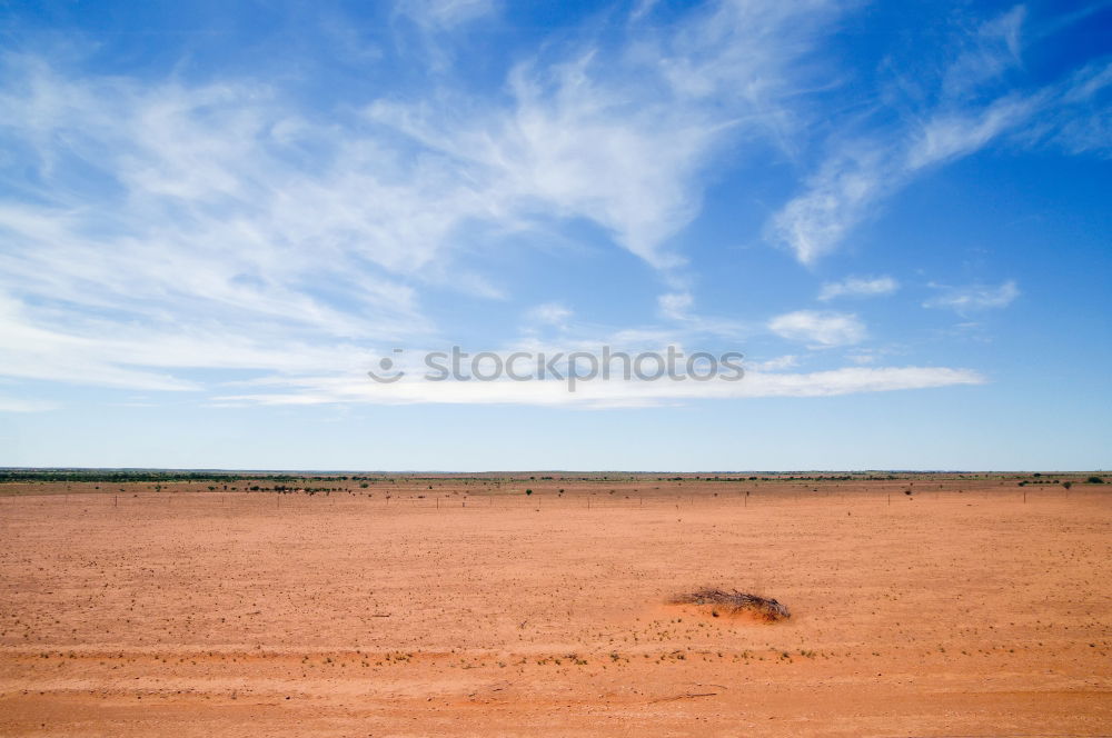 Similar – last exit Nature Landscape