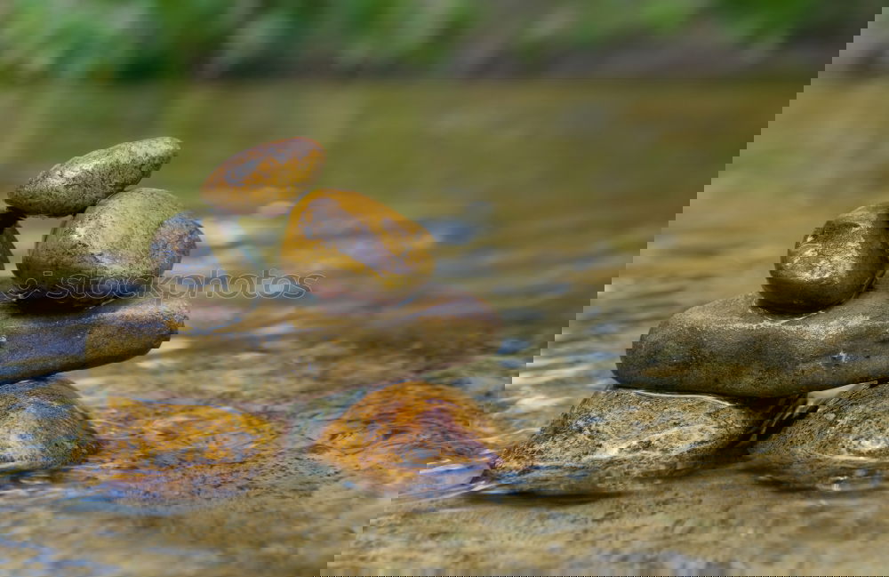 Similar – Foto Bild einsam- zweisam