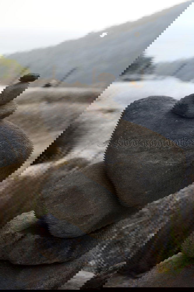 Similar – Foto Bild einsam- zweisam