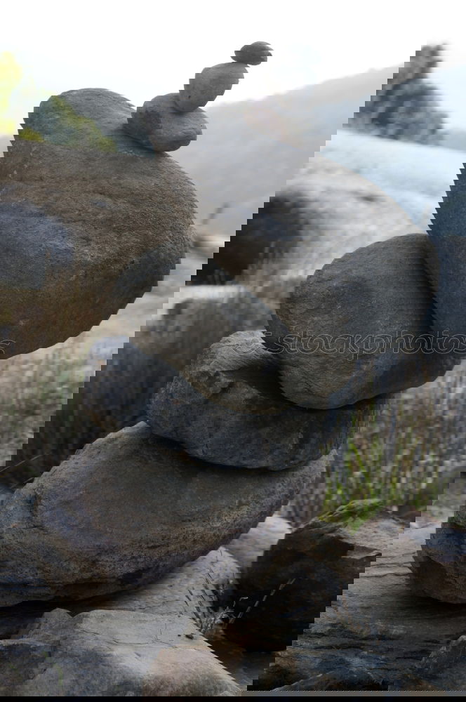 Similar – Foto Bild einsam- zweisam
