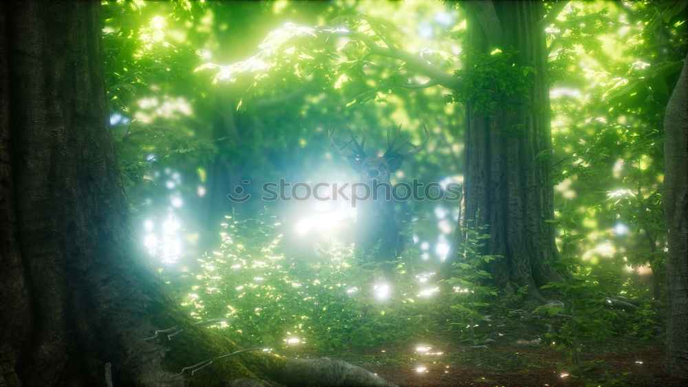 Similar – Image, Stock Photo sunstrals Forest Sunbeam