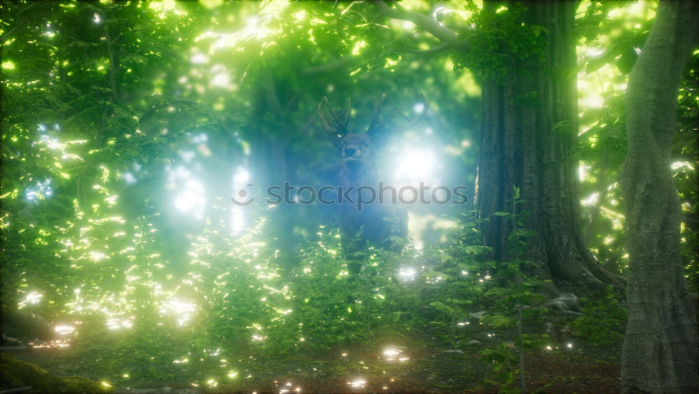 Similar – Image, Stock Photo sunstrals Forest Sunbeam