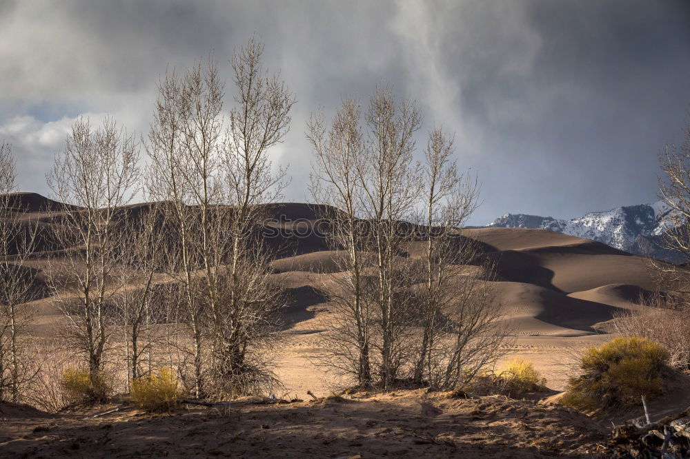 Andes Anden Berge