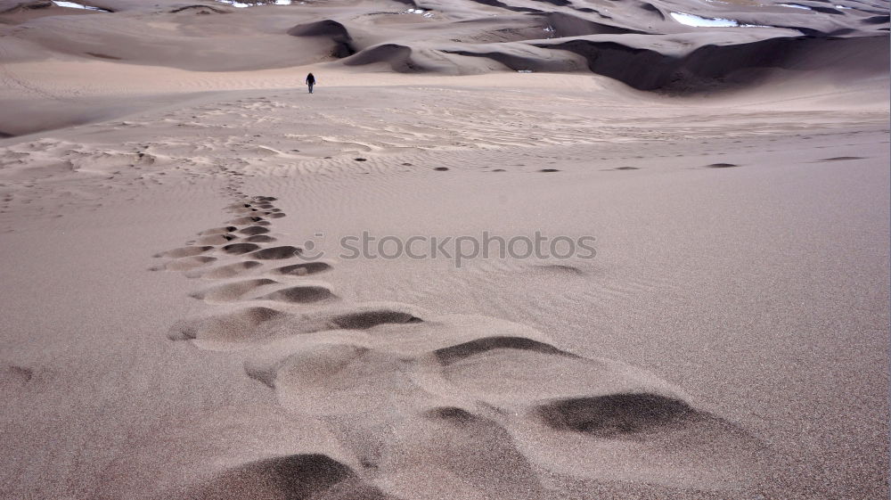 Similar – spuren im sand