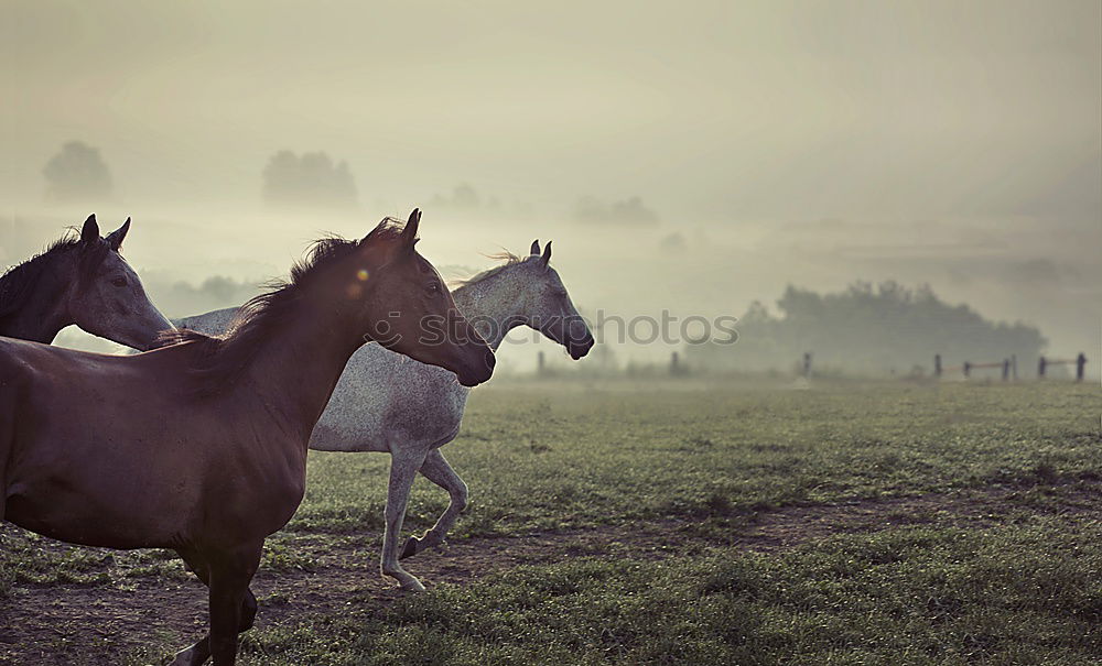 Similar – Careful Nature Landscape