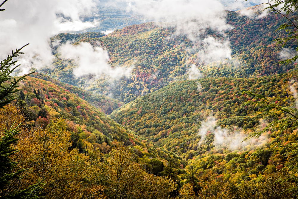 Autumn in the Pyrenees