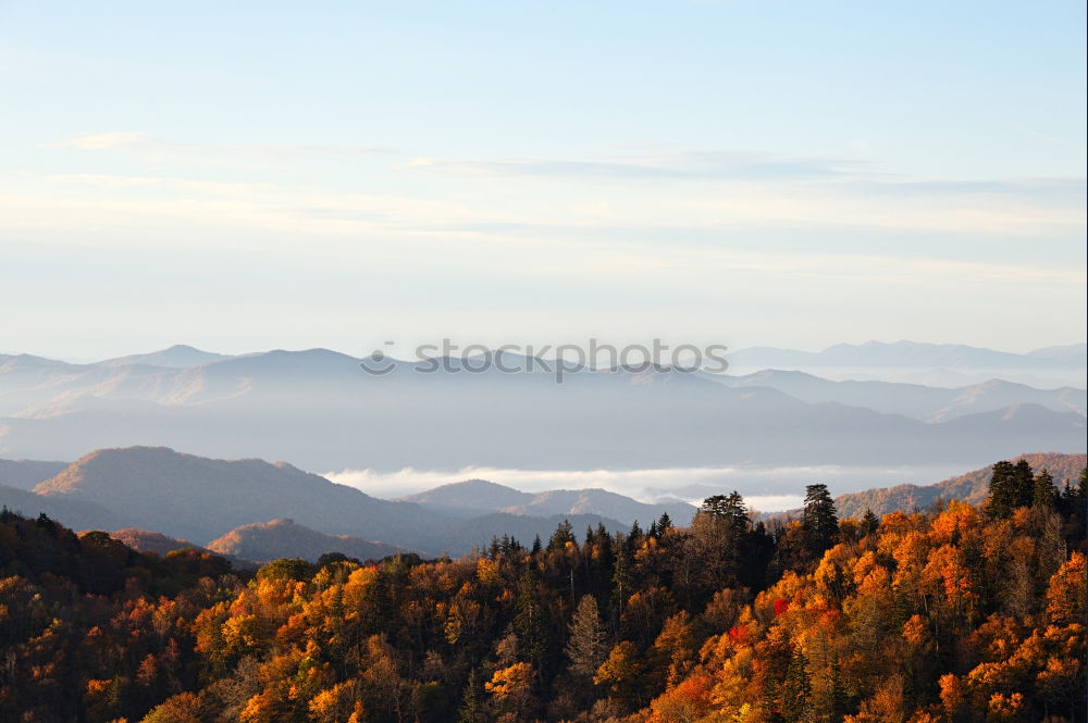 Similar – Beautiful orange and red autumn forest panorama