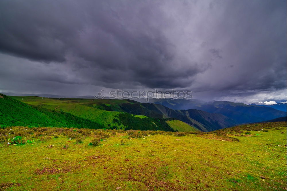 Similar – After the rain, moorland