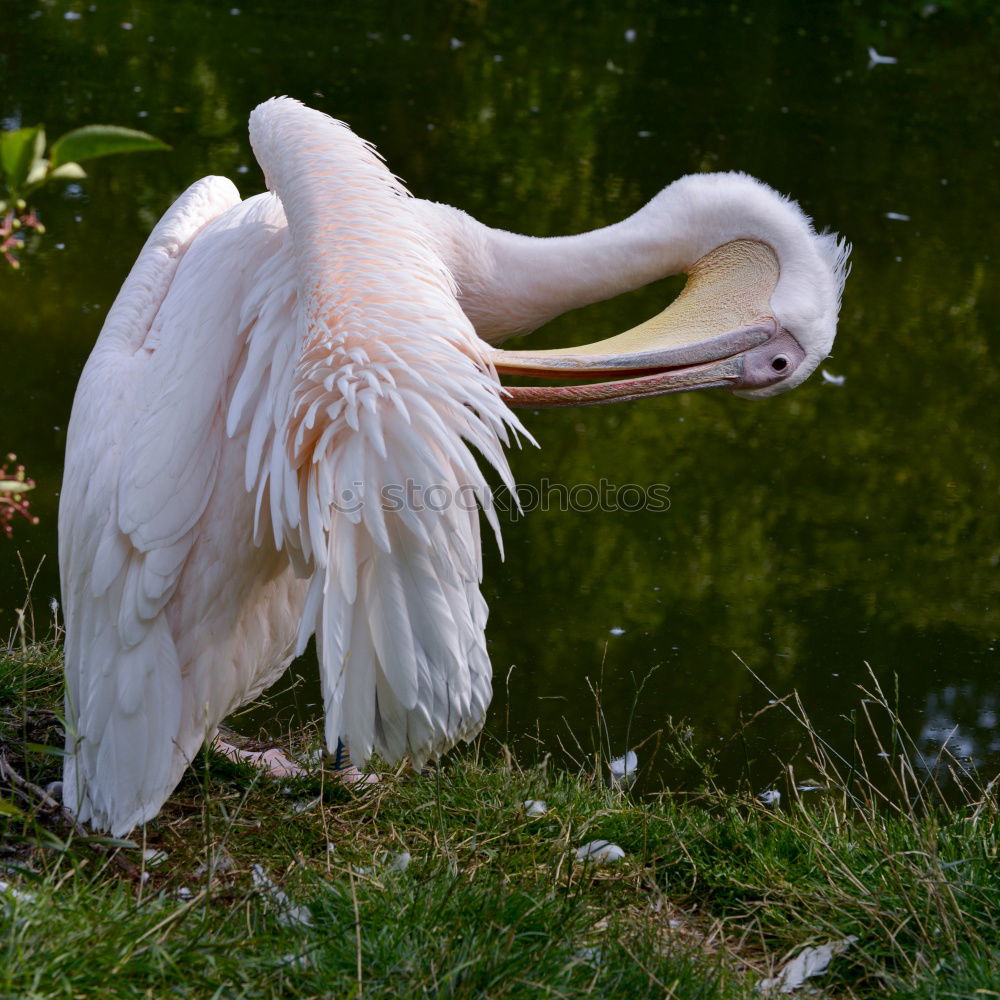 Cleaning again Nature