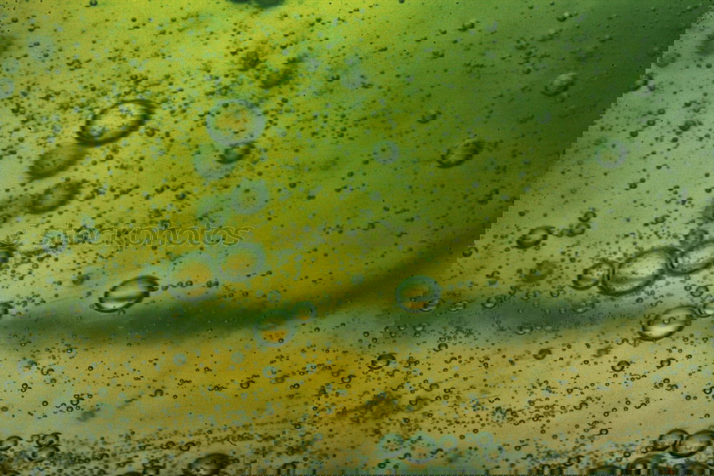 Similar – Foto Bild Ahhhh … *rülps* Becher