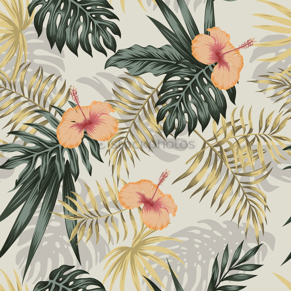 Similar – Image, Stock Photo Composing with tropical flowers and leaves