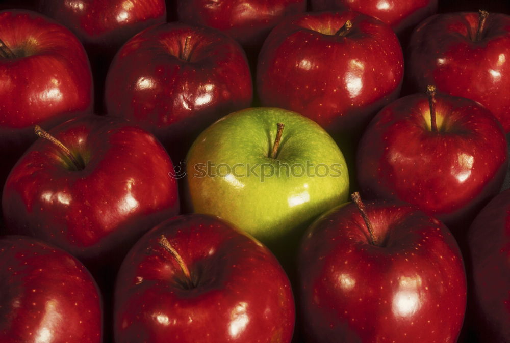 Similar – Image, Stock Photo thanks to good harvest