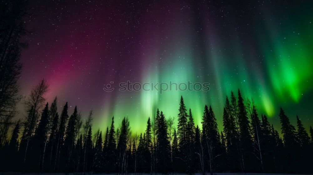 Similar – Northern lights in Homer