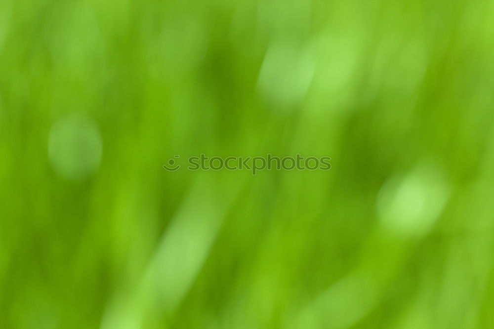 Similar – grass green Relaxation